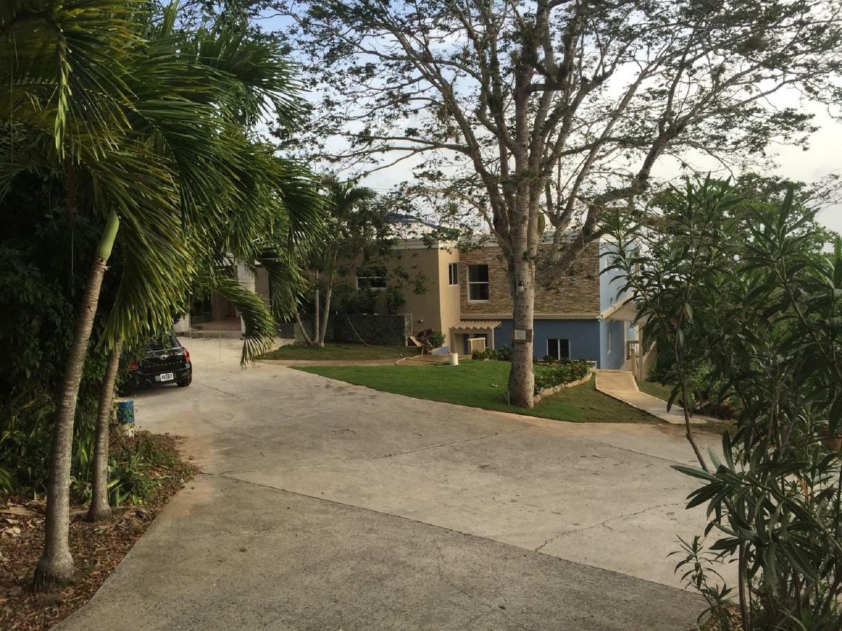 Villa Indigo Sunny 1Br Apartment In Private Gated Estate Charlotte Amalie Exterior foto